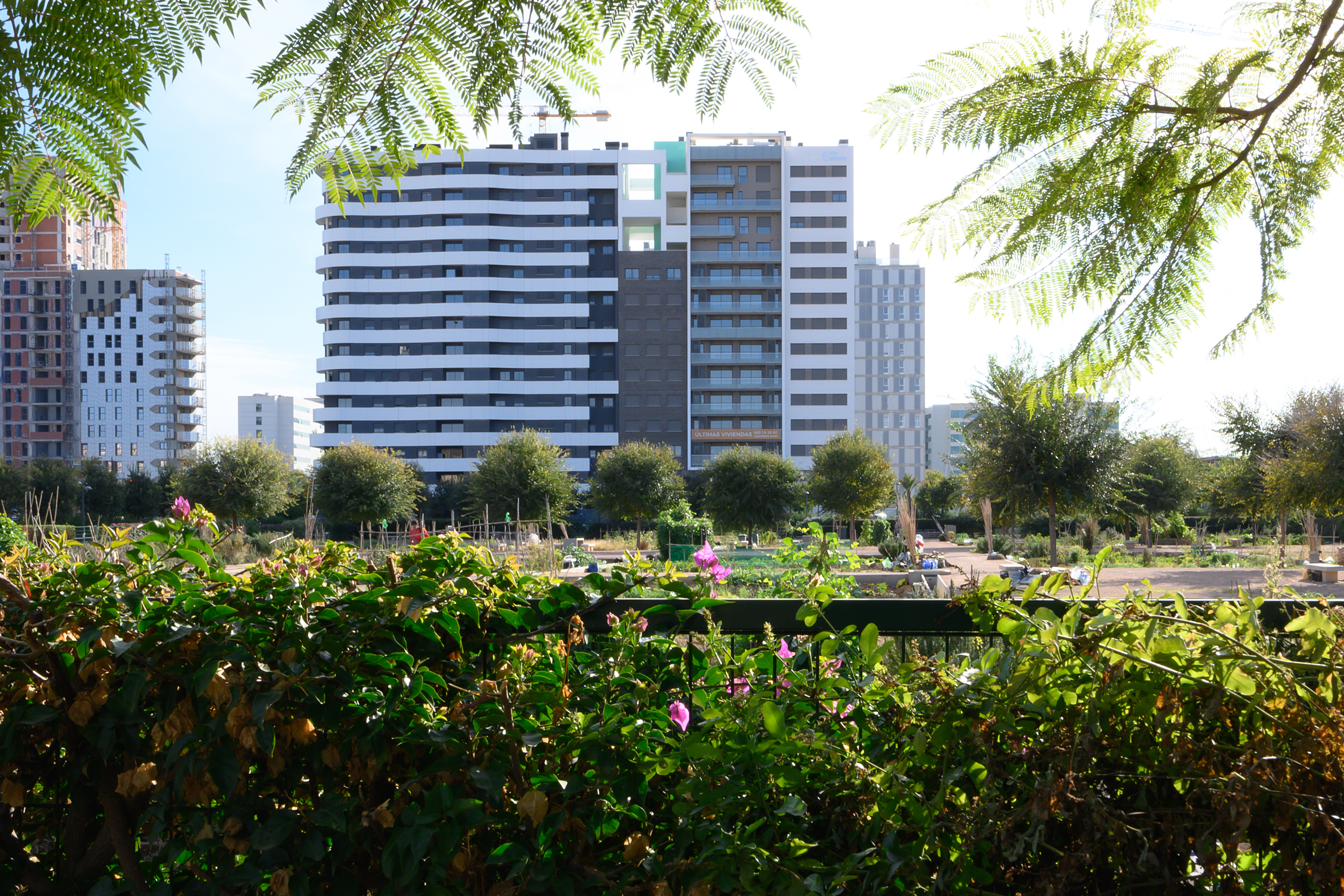 Coanfi amplía su cartera inmobiliaria con un nuevo proyecto en Valencia